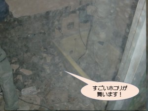 大量のホコリが舞います